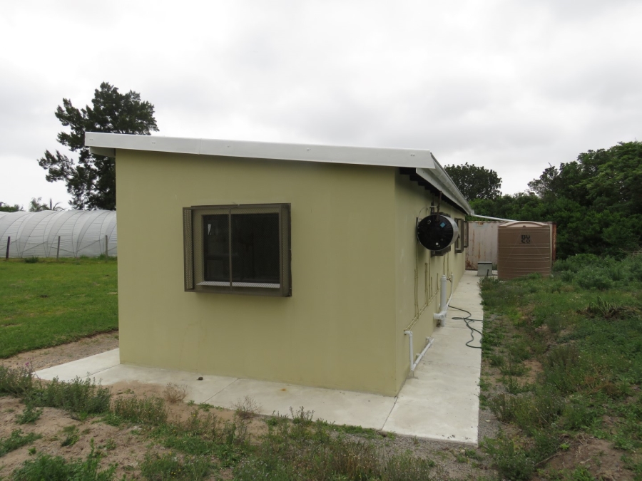 3 Bedroom Property for Sale in Bathurst Eastern Cape